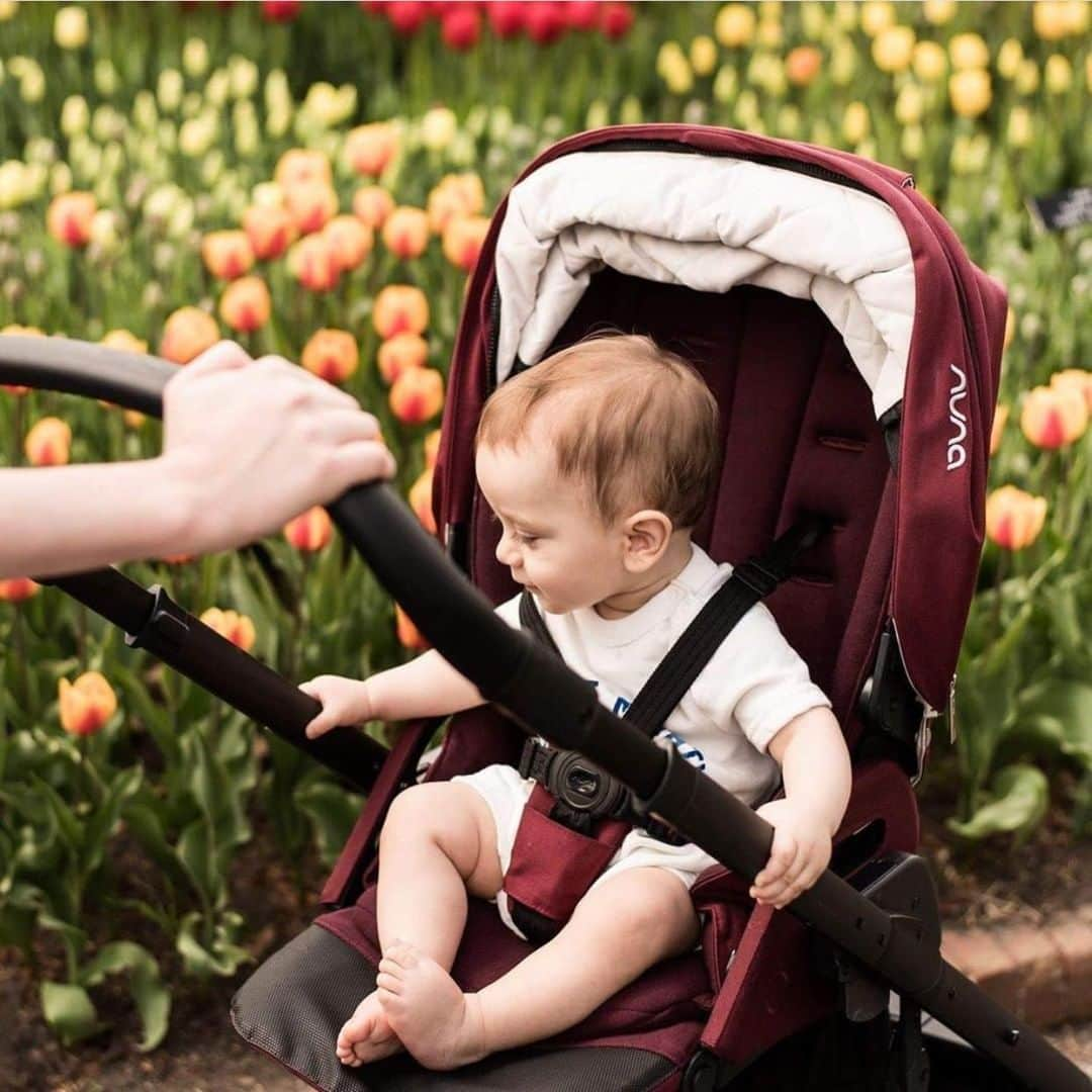 nunaさんのインスタグラム写真 - (nunaInstagram)「Stopping to smell all the flowers in our MIXX2™  If you like the MIXX2 be sure to check out our new upgraded MIXX™ stroller designed with all the little details in mind so your adventures in parenthood can be that much easier!  PC: @jessyivanmartinez *MIXX2 shown in Berry https://www.nunababy.com/mixx-2019-usa  #Nuna #Nuna_US #MIXX #stroller #flowers #babygear #summerdays #summerstrolls」6月24日 0時00分 - nuna_usa