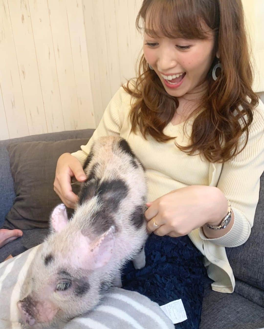 小山愛理さんのインスタグラム写真 - (小山愛理Instagram)「. 最初はミッキーちゃん(体の模様に隠れミッキーが！)だけを膝に乗せて寝かせていたのに、帰る頃に気づけば３匹も集まってくれて衝撃🤣✨✨ 仲間だと思ってくれたのかな☺️ それとも帰らないでと言ってくれていたのか、、、 また遊びに行くからね☺️❤️ . #マイクロブタ#マイクロブタカフェ#mipig#３匹のこぶた#目黒」6月24日 0時06分 - koyama_airi