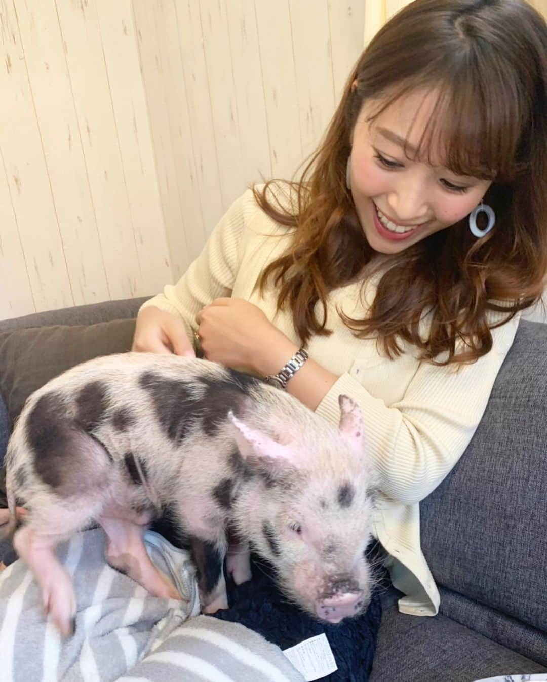 小山愛理さんのインスタグラム写真 - (小山愛理Instagram)「. 最初はミッキーちゃん(体の模様に隠れミッキーが！)だけを膝に乗せて寝かせていたのに、帰る頃に気づけば３匹も集まってくれて衝撃🤣✨✨ 仲間だと思ってくれたのかな☺️ それとも帰らないでと言ってくれていたのか、、、 また遊びに行くからね☺️❤️ . #マイクロブタ#マイクロブタカフェ#mipig#３匹のこぶた#目黒」6月24日 0時06分 - koyama_airi