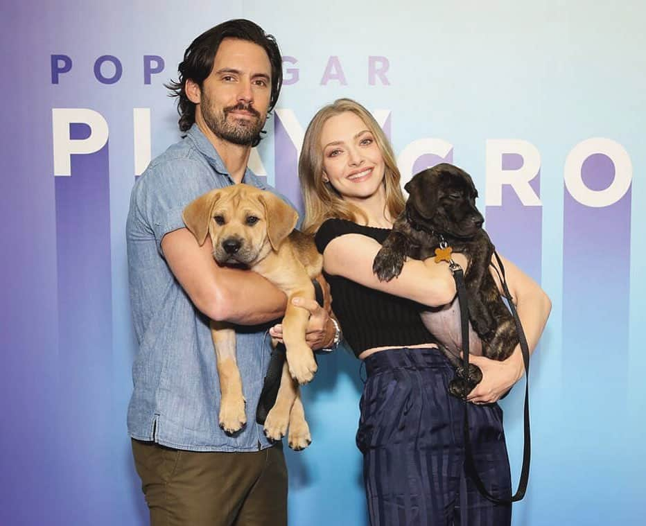 アマンダ・サイフリッドさんのインスタグラム写真 - (アマンダ・サイフリッドInstagram)「Puppies and @miloanthonyventimiglia for a weekend win. 47 days until our @artofracingmovie is in theaters everywhere. Thanks for having us, @popsugar!」6月24日 0時44分 - mingey