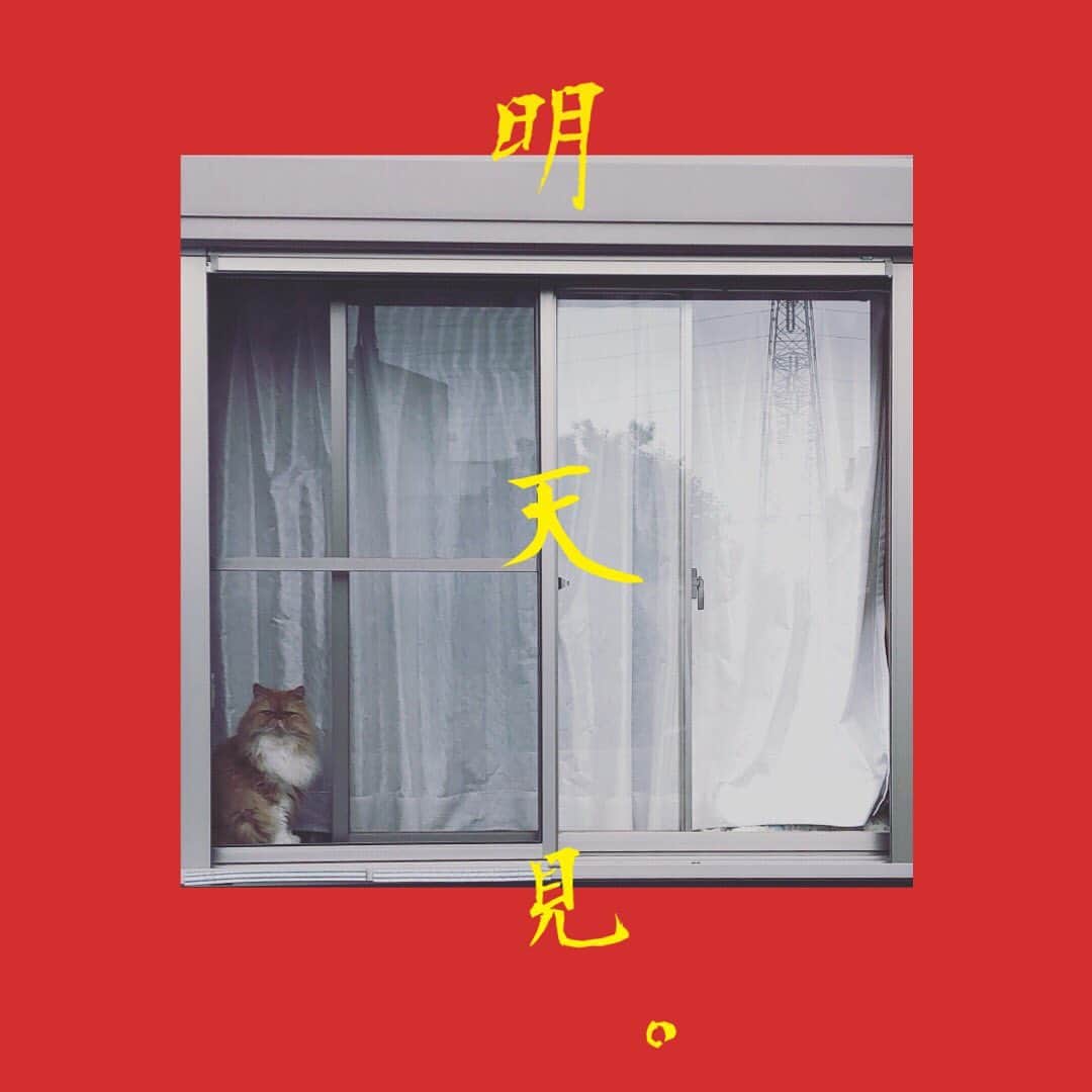 中丸シオンのインスタグラム