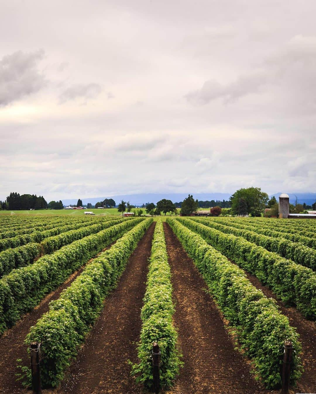 CANON USAさんのインスタグラム写真 - (CANON USAInstagram)「"I took this photo while exploring backroads in Oregon. The only lens I had with me was a EF 50mm f/1.8 STM, which took being a little creative but everything came together to make this shot." #MyCanonStory  Photo Credit: @Beautifulfallout Camera: #Canon EOS 6D Lens: EF 50mm f/1.8 STM Aperture: f/14 ISO: 100 Shutter Speed: 1/80 sec Focal Length: 50mm」6月24日 1時17分 - canonusa