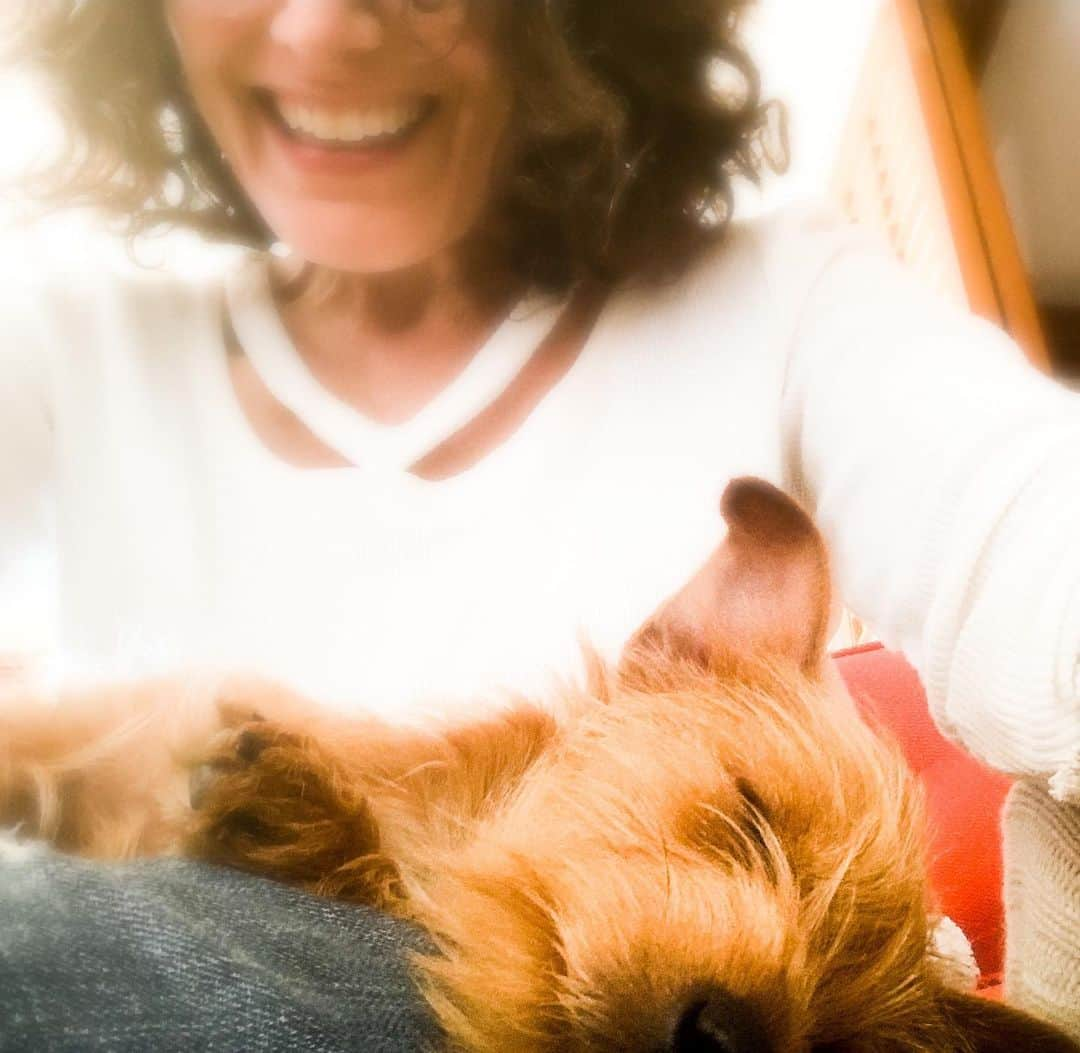 リサ・エデルシュタインさんのインスタグラム写真 - (リサ・エデルシュタインInstagram)「Puppyyyyyyyyyy. It really is a nice thing to have a puppy on your lap.」6月24日 1時31分 - lisaedelstein