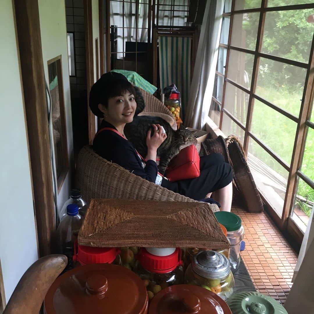 野本かりあさんのインスタグラム写真 - (野本かりあInstagram)「昨日は猫友仲間になった、八重樫夫妻のお招きでお出かけ。 古き良き日本家屋に幸せそうな猫たち。 ヤギとドラムと私。 エレクトーンとギターとルンバのパーカッションにて、即興セッション←ストーリーズにて はー❣️濃厚で楽しい1日でした❤️❤️❤️❤️❤️」6月24日 11時35分 - karianomoto