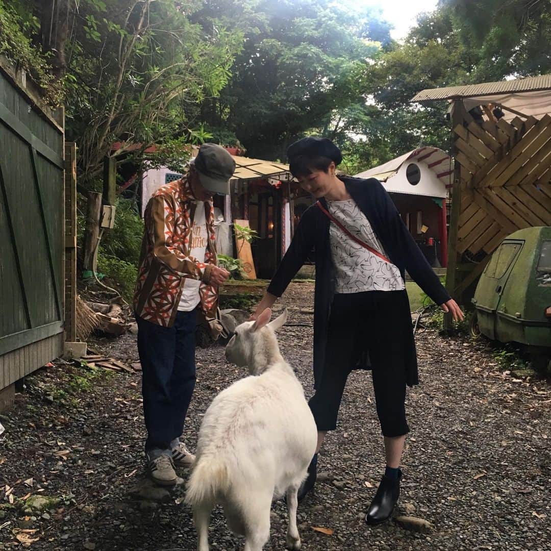 野本かりあさんのインスタグラム写真 - (野本かりあInstagram)「昨日は猫友仲間になった、八重樫夫妻のお招きでお出かけ。 古き良き日本家屋に幸せそうな猫たち。 ヤギとドラムと私。 エレクトーンとギターとルンバのパーカッションにて、即興セッション←ストーリーズにて はー❣️濃厚で楽しい1日でした❤️❤️❤️❤️❤️」6月24日 11時35分 - karianomoto