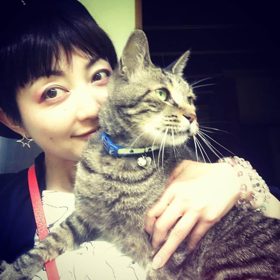 野本かりあさんのインスタグラム写真 - (野本かりあInstagram)「昨日は猫友仲間になった、八重樫夫妻のお招きでお出かけ。 古き良き日本家屋に幸せそうな猫たち。 ヤギとドラムと私。 エレクトーンとギターとルンバのパーカッションにて、即興セッション←ストーリーズにて はー❣️濃厚で楽しい1日でした❤️❤️❤️❤️❤️」6月24日 11時35分 - karianomoto