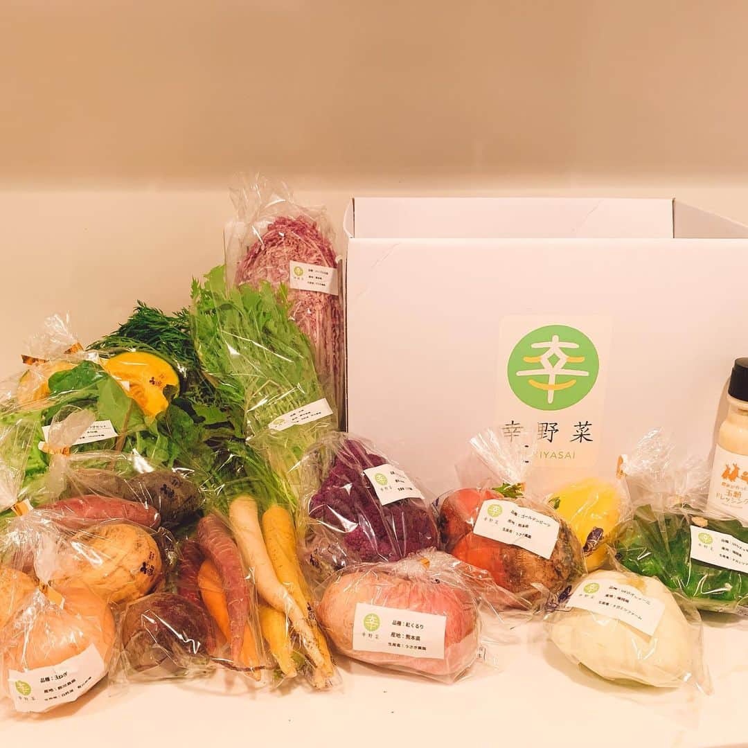 桐谷美玲さんのインスタグラム写真 - (桐谷美玲Instagram)「幸野菜🥕 @yukiyasai5  新鮮なのはもちろん、見た目も鮮やかで美しいお野菜たち。自然の力で育った野菜達は、栄養もたっぷりなんだって。すごく美味しい🙄💕 2枚目は農家さんの、@usagifarm_ai さんおすすめの食べ方☝️紫の白菜シャキシャキで甘くてうまままー🤤」6月24日 12時32分 - mirei_kiritani_