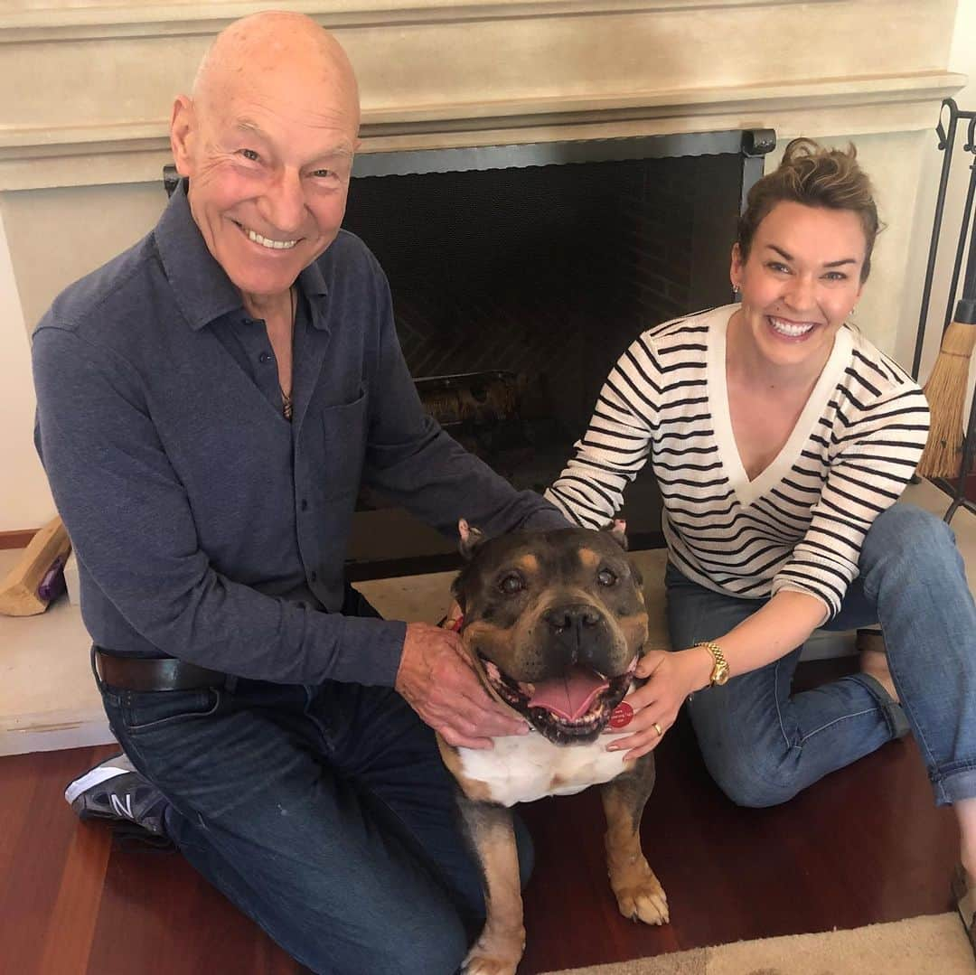 パトリック・スチュワートさんのインスタグラム写真 - (パトリック・スチュワートInstagram)「Please meet our new foster dog, Leonard. “Lenny” for short. He is a gentle gentleman, and @madameozell and I are smitten already. At roughly ten years of age, Leonard is our first “senior” foster. We know very little about his life, except that it was one full of neglect. To be able to give this handsome fellow a soft bed, and all the cuddles and kisses he asks for...well, it’s just such a privilege. Thank you as always to @wagsandwalks for bringing another angel into our lives. #adoptdontshop #fosteringsaveslives #pitbullsarefamily #pitbullsarelove」6月24日 3時40分 - sirpatstew