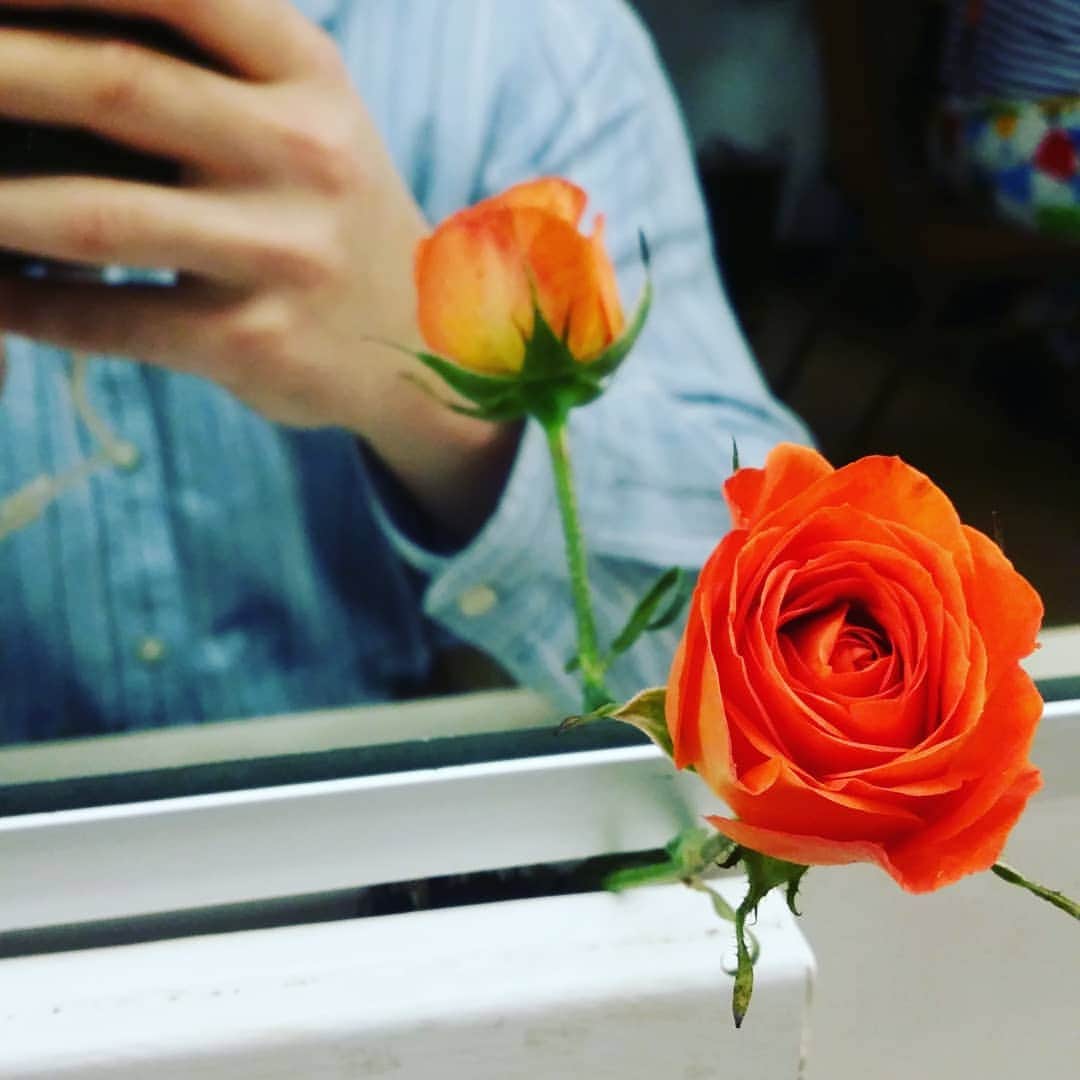 アレックス・ブノワのインスタグラム：「Happy Closing Matilda!!! An incredible run with an unbelievable group of artists!!! Flower courtesy of @caseyjosanders」
