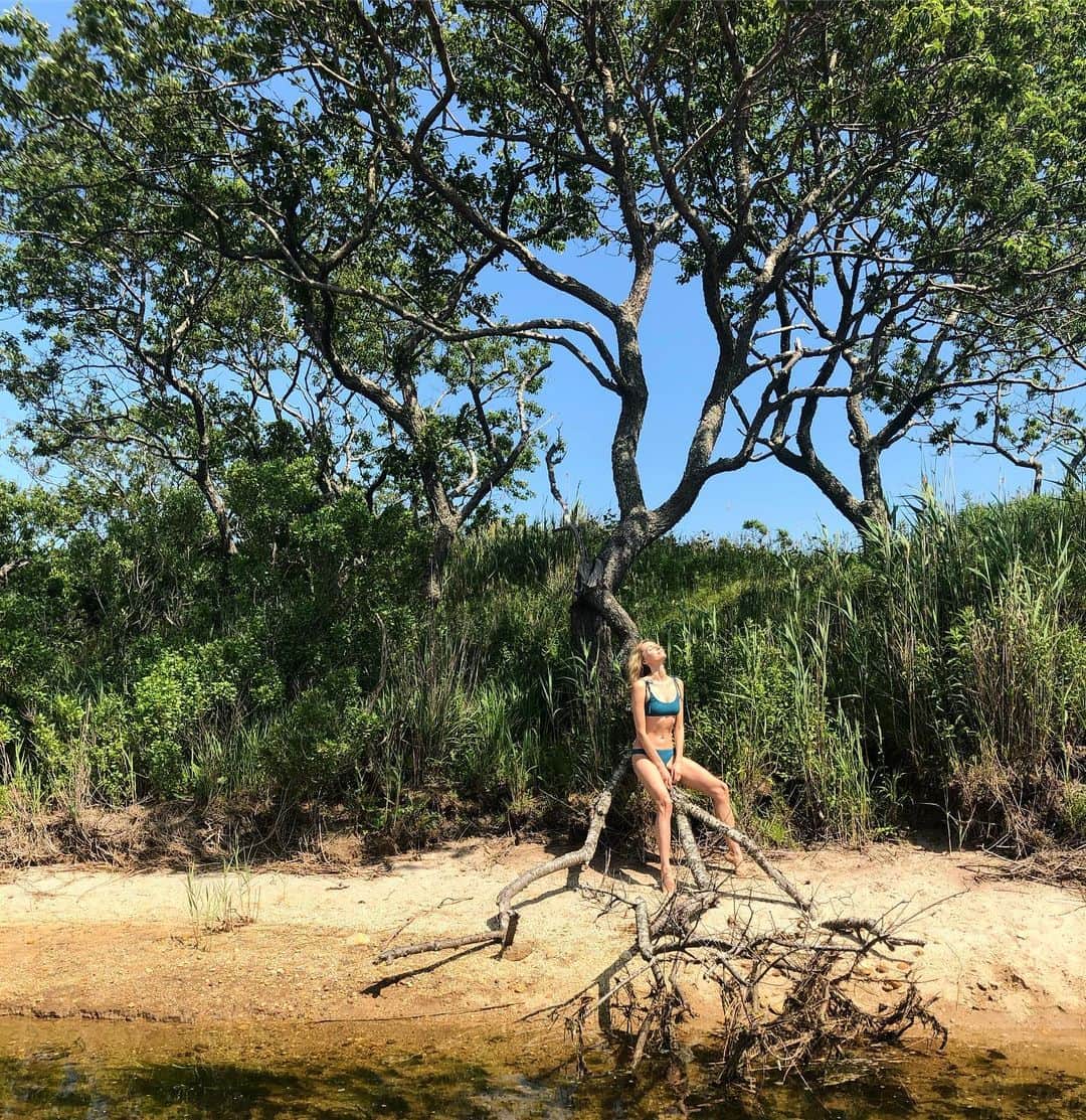 ヴァレンティナ・ゼリャヴァのインスタグラム：「branching out 🍃」