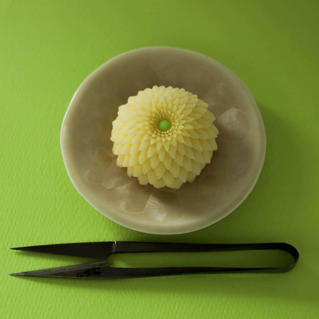 Toru Tsuchieさんのインスタグラム写真 - (Toru TsuchieInstagram)「今日の和菓子はねりきりで作った夏菊です。 ねりきりとは白餡に餅や芋を混ぜて作った和菓子で 茶道 で使われる「主菓子」の一種です。 撮影 用に作成しました。 久しぶりにハサミ菊を作りたくなって普通の上生菓子サイズで作ってみました。 上から切る場合は大きさが大きくても小さくても難易度は変わらないですが シベの直径が小さくなると難易度が上がります。 直径5.5mmくらいのシベの周りに２０枚の花びらを切っています。 この直径が大きくなるほど簡単になります。 フェイスブックページのいいね！もよろしくお願いします。 https://www.facebook.com/shishisu/ Today's wagashi is chrysanthemum with Nerikiri. The Nerikiri is the material of wagashi made by mixing the rice cake and yam in white bean. Is a kind of "Jounamagashi" as used in the tea ceremony. The sweets I've made for the shooting. #福泉堂  #和菓子  #おいしい #wagashi  #my_eos_photo #出雲  #pretty #カメラ好きな人と繋がりたい  #写真好きな人と繋がりたい　 #Japan_of_insta #handmade　 #お菓子好きな人と繋がりたい #Japan #wagashi  #جميل #красивый #ファインダー越しの世界 #design #canon #ig_color  #일본디저트  #Mignon  #craft #nice #photooftheday #สวย #sweets #kawaii #夏  関係ないですが昨日は古代ハスを見に行きました。」6月24日 6時50分 - choppe_tt