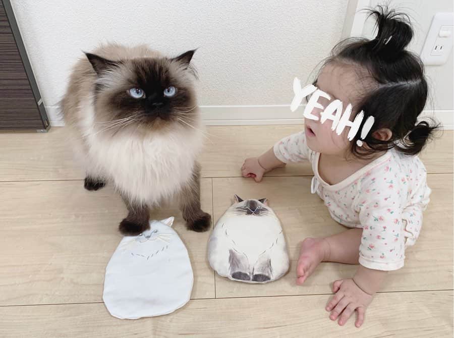 plumeのインスタグラム