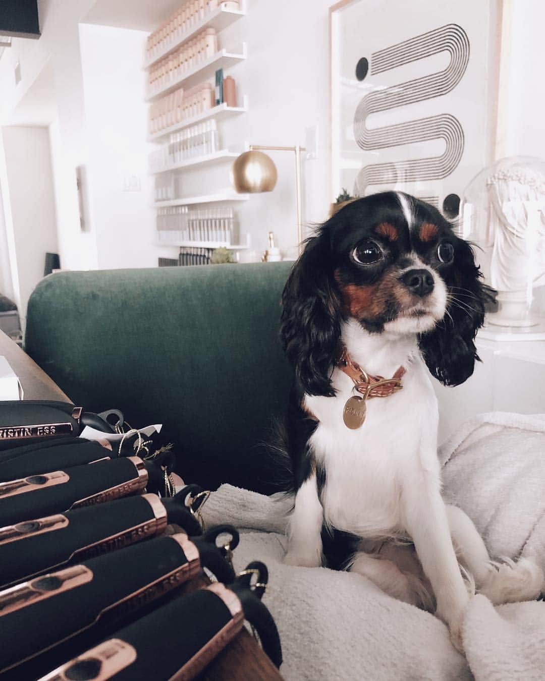 Kristin Essのインスタグラム：「Too much cuteness in one photo. 😉」
