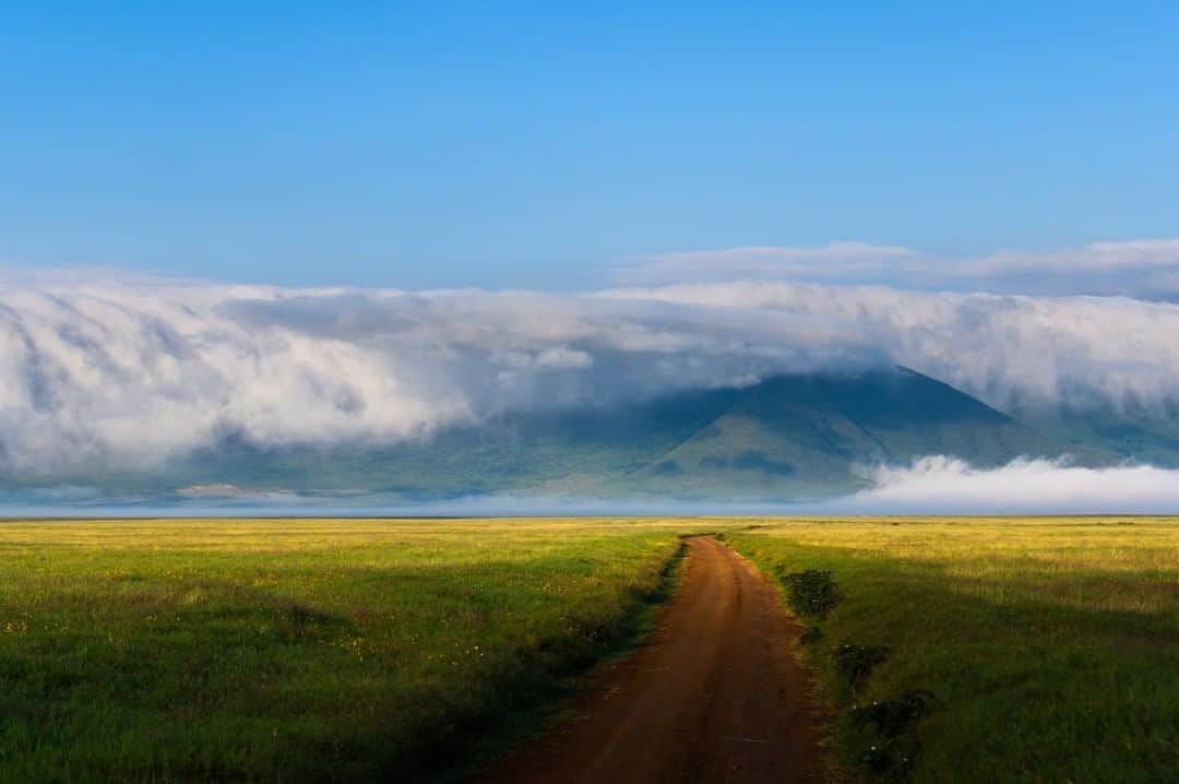 National Geographic Travelさんのインスタグラム写真 - (National Geographic TravelInstagram)「Photo by @taylorglenn | A road through paradise. The Ngorongoro Crater in Tanzania is an extraordinary landscape. It supports a wonderful diversity of wildlife and is simply one of the most beautiful places on the planet. Follow me, @taylorglenn, for more from #Tanzania and beyond. #ngorongorocrater #africa」6月24日 7時00分 - natgeotravel