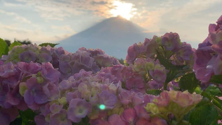 phantastic420のインスタグラム：「. 🤩🤩“Shizuoka” prefecture in Japan is a place where you can see the most “phantastic” Mt. Fuji🗻 in the world.🤩 #富士山 #mtfuji #japan #shizuoka #fujinomiya  #phantastic420photography #mostphantasticmtfuji #selamatpagi  #goodmorning  #おはようございます 😇😇😇😇😇😇😇🗻😇😇 撮れませんでしたが一瞬見えた時頭真っ白でした😍」