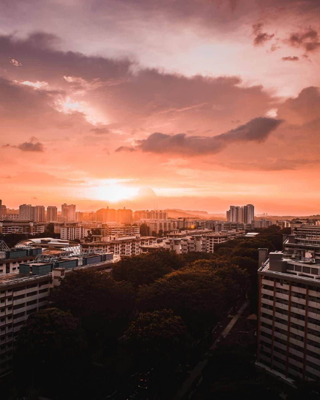Canon Asiaのインスタグラム：「“I was at a friend’s place when I caught this shot of the golden hour. It was by chance that my Canon EOS 80D was with me when we met this view. Perched on the 17th floor of the apartment, I was worried that I might not be able to capture the sun without any obstructions as there are many buildings in Singapore. Nonetheless, I was lucky to catch the sun at the right moment, unobstructed.  To get the cleanest possible image, my ISO was set to 100. With the lens’ image stabilization function, I was able to get a sharp image at 1/30 shutter speed.” • 📷 Image by sebastian.peh_9469 on My Canon Story using the Canon EOS 80D | Canon EF-S 18-200mm f/3.5-5.6 IS | f/6.3 | 1/30s | ISO 100 | 18mm  Want your photos to be featured too? Tag them with #canonasia or submit them on My Canon Story, link in bio!  #canonasia #photography #canonphotography #sun #sunset #sunsetphotography #igsg #Singapore #goldenhour」
