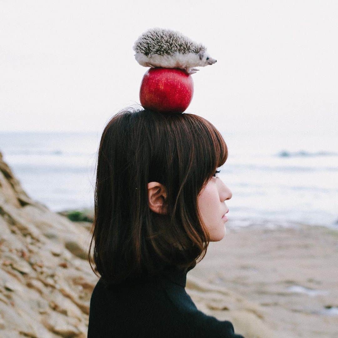 hiderin777のインスタグラム：「. . . . 🦔 🍎 . . . . 視線の先には江ノ島が( ๑⃙⃘ϋ๑⃙⃘ ) . . . #りんごがーる  #contax  #distagon  #carlzeiss」