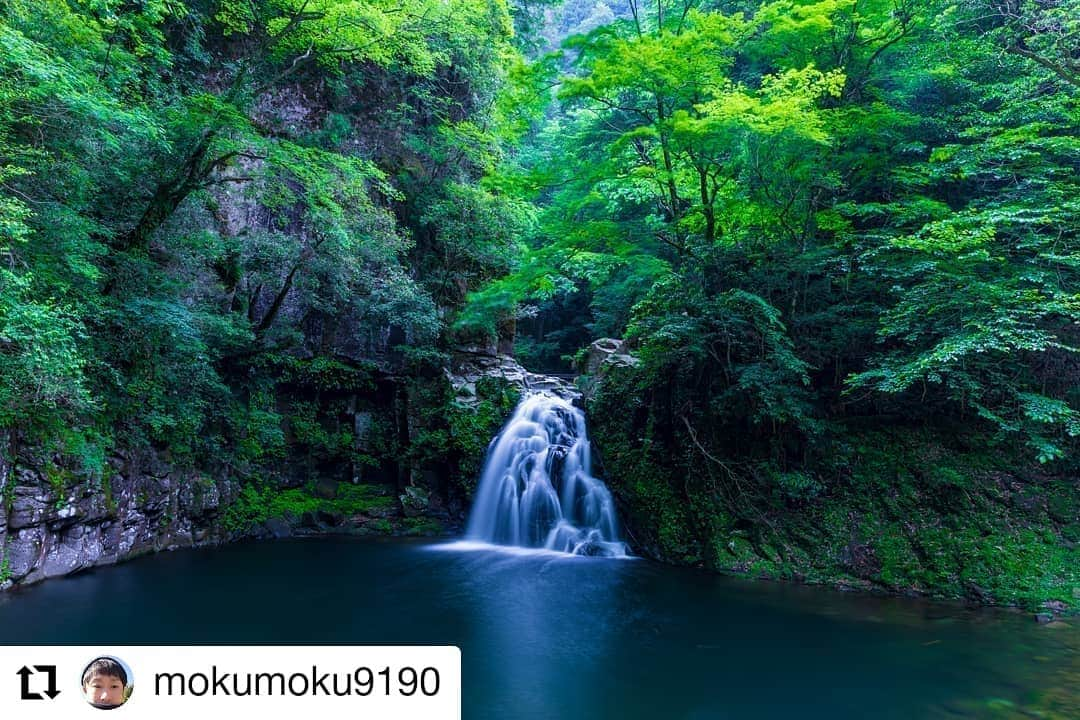 カメラのキタムラさんのインスタグラム写真 - (カメラのキタムラInstagram)「#Repost @mokumoku9190 様 • • • • • • おはようございます(^-^) 本日は22日に撮影した、三重県の赤目四十八滝から千手滝をpost✨✨ めちゃめちゃ沢山歩きました😅 疲れたけど楽しかった～😁✌️ ・ 今週も頑張りましょうね(o^^o) ・ ・ #赤目四十八滝 #三重県 #longexposure_japan #my_eos_photo #スローシャッター #japan #日本 #waterfall #ig_japan #lovers_nippon #ファインダー越しの私の世界 #ファインダー越シノ私ノ世界 #カメラ好きな人と繋がりたい #カメラが好きな人と繋がりたい #一眼レフ #my_eos_photo #マイナスイオン #写真撮ってる人と繋がりたい #写真好きな人と繋がりたい #滝 #たき #東京カメラ部 #サンセットスタジオtv #NDフィルター #けしからん景色 #キタムラ写真投稿 #千手滝」6月24日 7時54分 - camera_kitamura