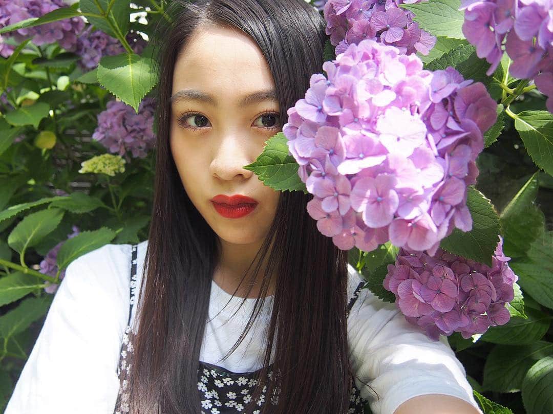 moca さんのインスタグラム写真 - (moca Instagram)「今日は雨だね~﻿ この間、紫陽花祭りへ行ってきました☺︎﻿ ﻿ 紫陽花が凄くキレイで沢山写真撮ったよ✌︎💖﻿ 今日はこれから二枚投稿するので、﻿ どの写真がいいかお気に入りにいいねしてねん！(複数でも👌🏻)﻿ ・﻿ ・﻿ ・﻿ #あじさい #紫陽花 #アジサイ #紫陽花の季節 #梅雨の花 #はなふぉと #花のある風景 #はなすたぐらむ #花が好き #あじさい祭り #梅雨﻿ #hydrangeas #hydrangea #ajisai #flower #rainyseason　#rainy #☔️ #lol #avex #moca #エルオーエル﻿ #紫 #purple 花言葉は #元気な女性」6月24日 8時02分 - moca_lol