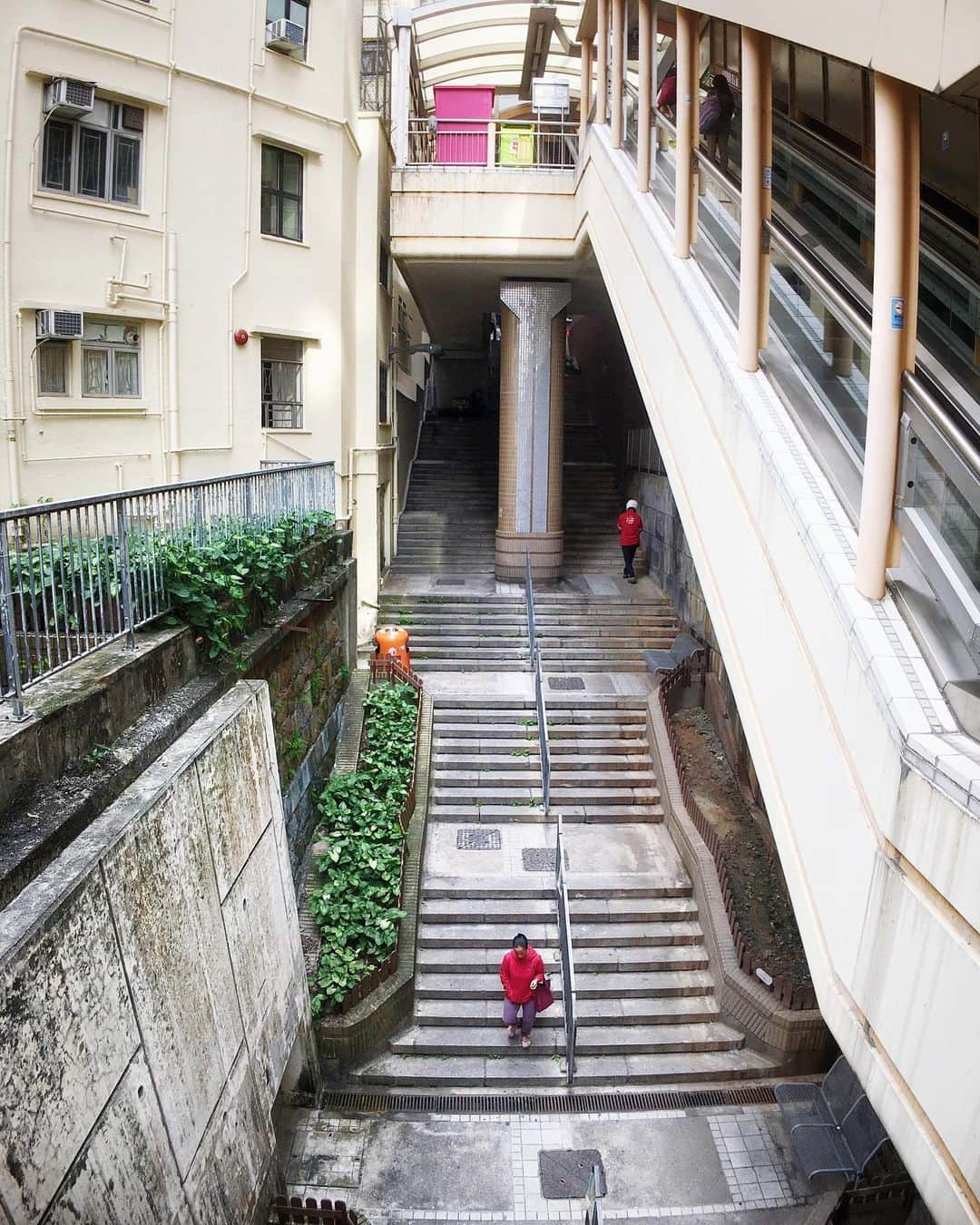 sunday_722のインスタグラム：「*﻿ *﻿ Long stairs﻿ *﻿ #stairwalkers﻿ #staircases_fireescapes_etc﻿ #mwjp﻿﻿ #ShotOniPhone﻿﻿ #ShotOniPhone6s﻿ #ShotOn_TG﻿﻿ #tg_wide﻿ #allabouthongkong﻿﻿ #discoverhongkong﻿﻿ #waytohk_sunday_722﻿﻿ #香港中毒﻿﻿ #香港﻿﻿ #capturehongkong﻿﻿ #zolimahongkong﻿﻿ #streetmagazine﻿﻿ #lookdown﻿ #indies_gram ﻿﻿ #ig_photooftheday ﻿﻿ #tv_pointofview﻿﻿ #busystranger﻿ #samewheremagazine﻿﻿ #unlimitedhongkong﻿ #AwesomeHongKong﻿ #streetsgrammer﻿ #visionofpictures﻿ #ic_streetlife﻿ #tv_tinypeople﻿ #jj_mobilephotography」