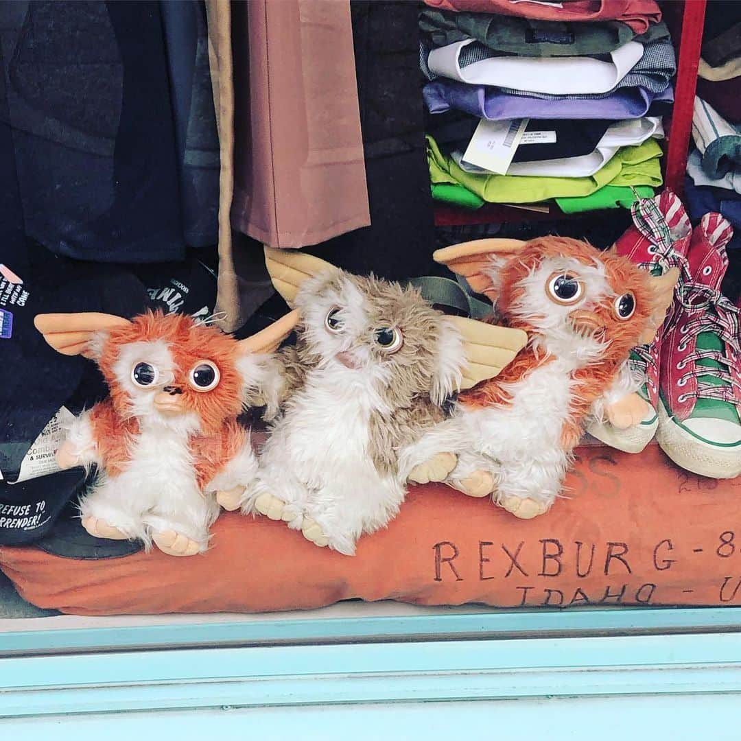 ランス・アーチャーさんのインスタグラム写真 - (ランス・アーチャーInstagram)「In a shop window display in Morioka 🇯🇵! Instantly over w me! #Gizmo」6月24日 9時18分 - lance_hoyt