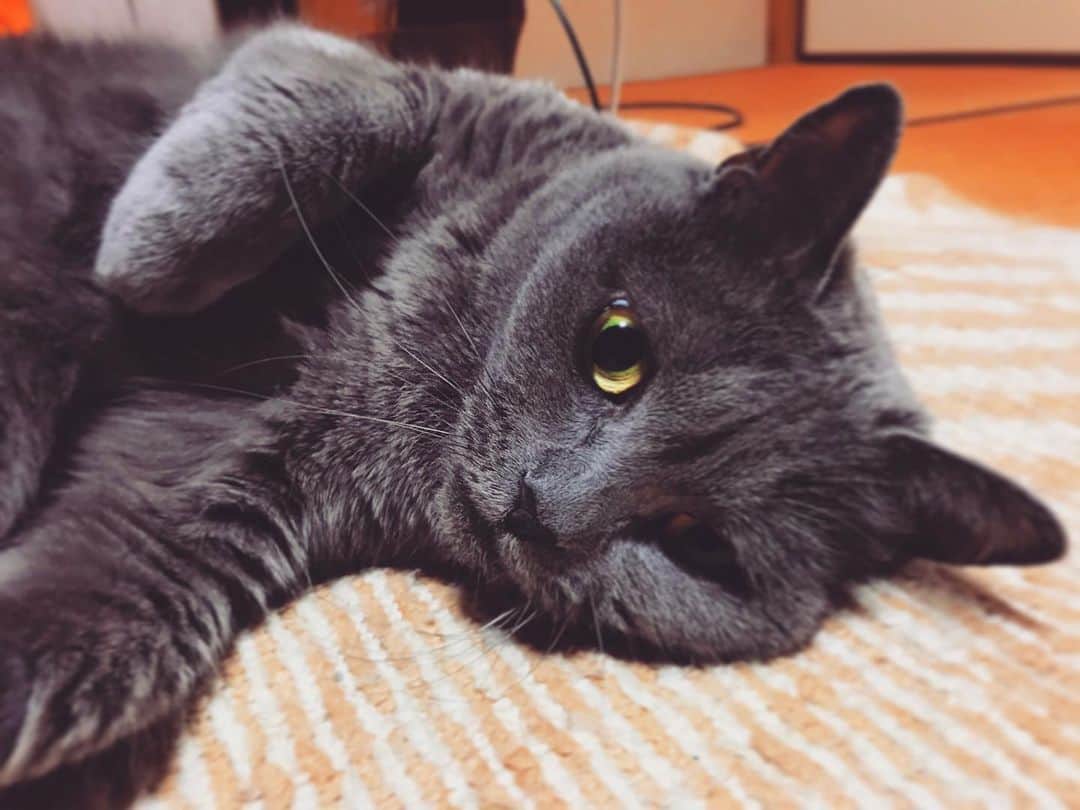 チキン南蛮カレーのルウ王子のグルメインスタ