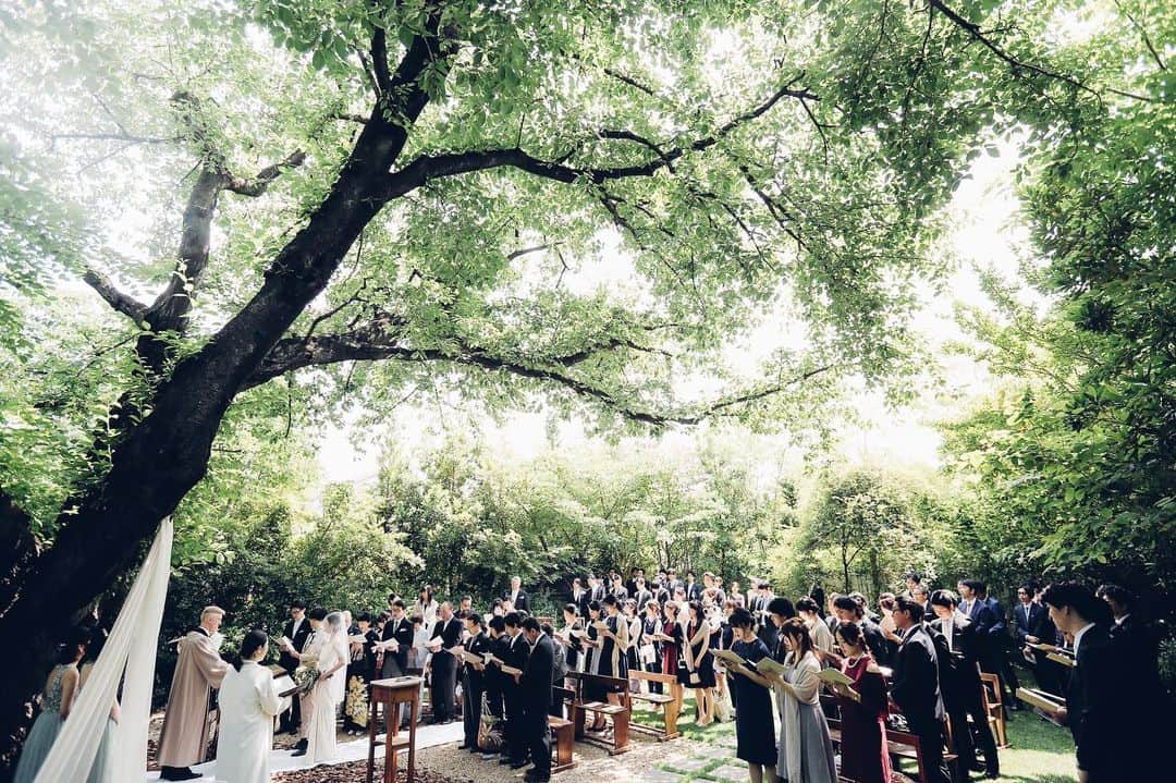 ラクラリエールのグルメインスタ