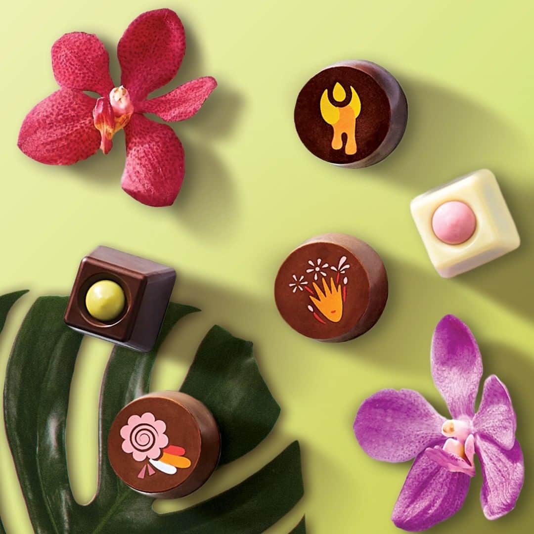 GODIVAさんのインスタグラム写真 - (GODIVAInstagram)「Summer calls for a splash of color. Enjoy the bright and flavorful treats in our Chocolate Festival Collection 💛🍫🌺」6月24日 10時39分 - godiva