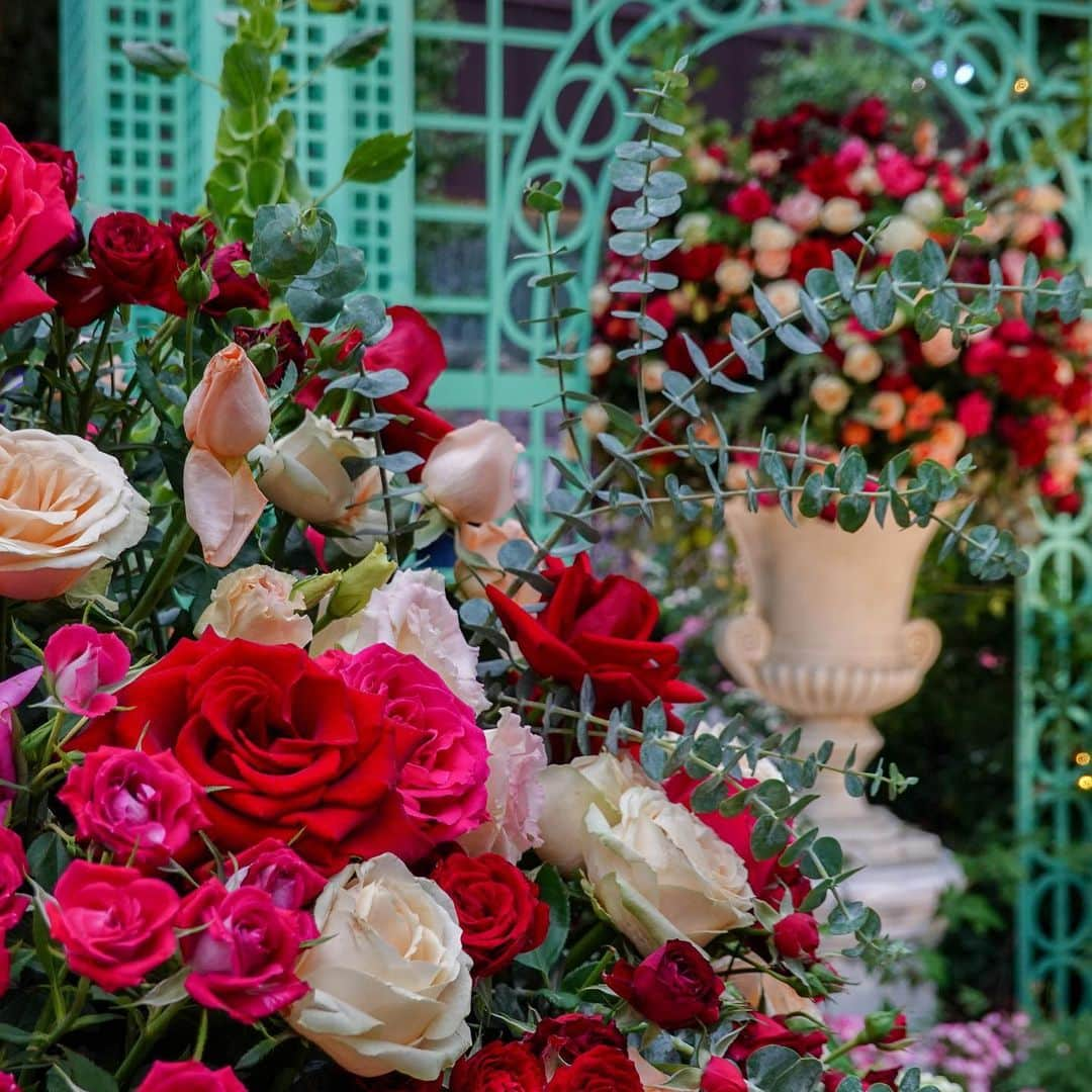 リー・シェンロンさんのインスタグラム写真 - (リー・シェンロンInstagram)「No better time to stop and smell the roses (literally!) than at @gardensbythebay’s Rose Romance floral showcase. I stopped by to see the beautiful blooms while on leave a fortnight ago.  The roses will be on display until 14 July, so there’s still time to head over before the school holidays end – or even after, if you prefer. 🌹 – LHL (Photos by me)」6月24日 11時05分 - leehsienloong