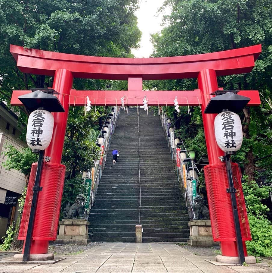 Andaz Tokyo アンダーズ 東京さんのインスタグラム写真 - (Andaz Tokyo アンダーズ 東京Instagram)「Experiencing Hozuki Ichi at nearby #AtagoShrine ⛩ ⭐️Climb the 86 Steps to Success to reach Edo’s tallest mountain and shrine. ⭐️Wash your hands before walking through the Chinowa ring to pray for 1000 days of happiness. ⭐️In ancient times, lantern fruit was used in medical elixirs to promote health and fertility.  Pick up a lantern plant that has been blessed by a priest to bring good fortune to your home. ⛩ アンダーズ 東京のご近所にある、愛宕神社で「千日詣り ほおづき縁日」が開催されました。 🌟 86段の出世の石段を登り切り、茅の輪をくぐってお参りすると、千日分のご利益を得られるといわれています。 🌟 お祓い済みのほおずきを受け取ると特別に社殿でお祓いもしていただけるそうです。」6月24日 22時03分 - andaztokyo
