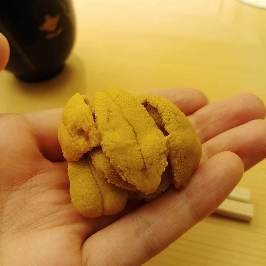 島﨑信長さんのインスタグラム写真 - (島﨑信長Instagram)「すごいウニを食した…！」6月24日 20時34分 - nobunaga_s