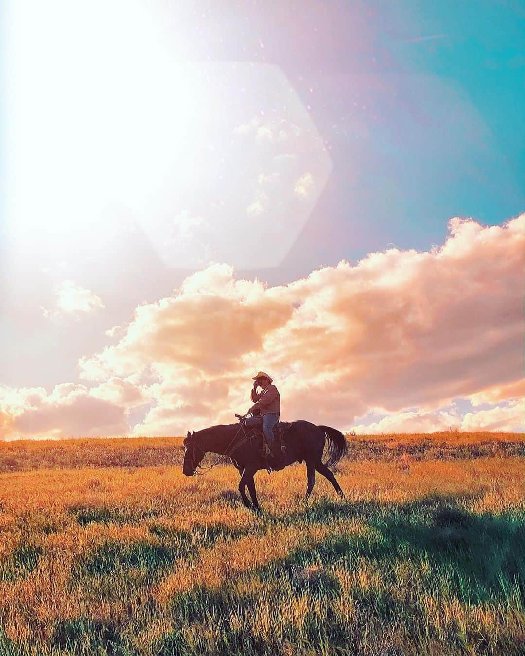 wacameraのインスタグラム：「#Oregon #horseriding memory この日、私たちはとてもとてもラッキーだった。でも昼の時点ではもしかしたら世界で一番アンラッキーだったのかもしれない。 携帯の電波がない人通り少ない田舎の道で車が沼にはまりスタック、2時間ほど立ち往生した。そんな中、私はそこでオレゴンの優しさを垣間見た。 車を押したり、粘土質の泥を掻き出したり、タイヤと泥の間に挟む板を探していると、数少ないが車が通り過ぎる。そのほとんどが止まって「何か手伝うことある？」「なにがあったの？」と訪ねてくれる。 笑いながら「ハマっちゃった！」と言えば、ロープがあるから引っ張るよ！とトライしてくれたり(結果は惨敗)、電波のあるところまで戻ってレンジャーを呼んでくれたり、ある人は一度は通り過ぎたのに牽引ワイヤーを持って戻ってきてくれたり(結果は惨敗)、私が過去遭遇したアクシデントの中で一番たくさんの人が手を差し伸べてくれた。 一番驚いたのは、私たちの横をノロノロと通り過ぎた小さな車。乗っていたのは失礼だけど非力そうなヒョロヒョロの若者。定型文のように「手伝うことある？」と聞いてくれたが正直(力なさそうだし、車も小さいし無理そう…)なんて思ってた。 彼はおもむろに降りてきてハッチバックを開けた。(お、もしかしてなんかスペシャルな道具とか持ってるのかな？) すると彼はタンクを取り出して「この暑さだからお水を分けてあげるよ」と言った。 彼は(ここでスタックして一体いつ動けるかわからないし暑くて喉も乾くだろう、そんな時少しでも喉を潤す水があれば安心できるよね)という眼差しで私たちを見ていた。 自分を恥じたいと思った。困っている人に、どんなことでも自分にできることをしようとしてくれる人の本当の暖かさを知った日だった。 2時間後にTow truckが来てくれて前輪の全てが沼の中にはまっていた私たちの車は救出され、私は少し泣きながらその様子を動画に収めた。今でもそれを見ると涙が出てしまう。正直それほどに深刻な状態ではなかった。命だってみんな無事だし、怪我もないし、なんなら私はそのアクシデントすら楽しんでいた。ちょうど絶景ポイントだったこともあり1時間くらいうろうろして撮影もしたし、天気も最高。けれど、その涙の理由は他ならぬ、オレゴンの人たちの優しさに触れたからだった。 大幅にロスした時間は巻き戻すことが出来ず、その日予定していた乗馬は諦めなければならなかった。仕方ない、その代わり貴重な体験をしたし！と思っていたからそれも悲しくはない。 しかし。神様は優しかった。日が沈むまでは乗馬をさせてくれるというオーナーの計らいにより私たちはサンセット乗馬を楽しめることに。夕日が何より好物な私にとってそれは1日を締めくくる極上のデザートになった。 私は一生忘れないだろう。優しい人たちと、この素晴らしい景色のことを。」