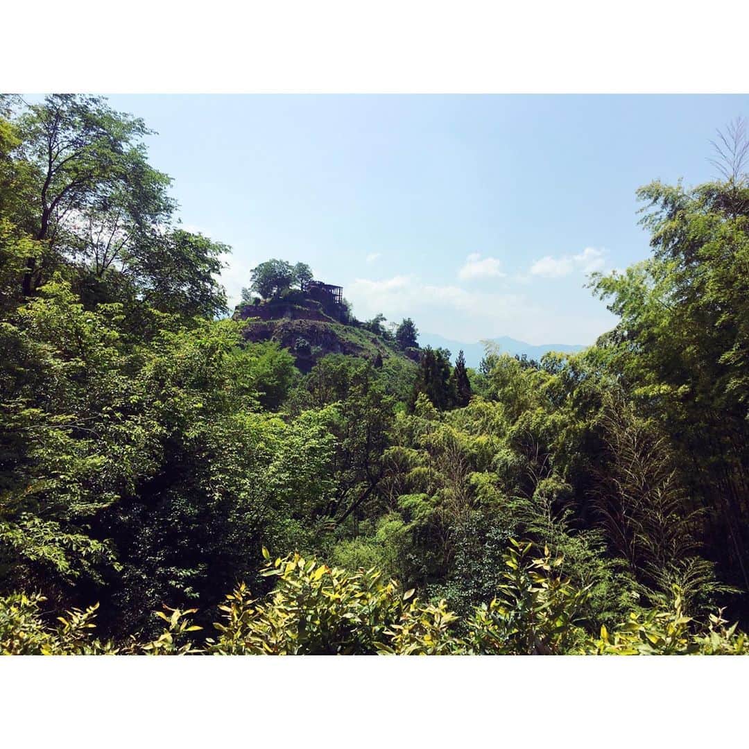 イレーネのインスタグラム：「中津川の苗木城跡へも初めて。結構ロケでお城は回ったのだけど、城跡は意外とお初かも。岩の上に巡らされた石垣など、めちゃ面白かったです🥳  それにしてもAvocado BoysのTシャツはどこへ着ても合うなぁ😏😏😏😏😏 #旅するカンジ #苗木城跡 #城跡 #中津川 #岐阜 #キャッチネットワーク #naegicastle #japan」