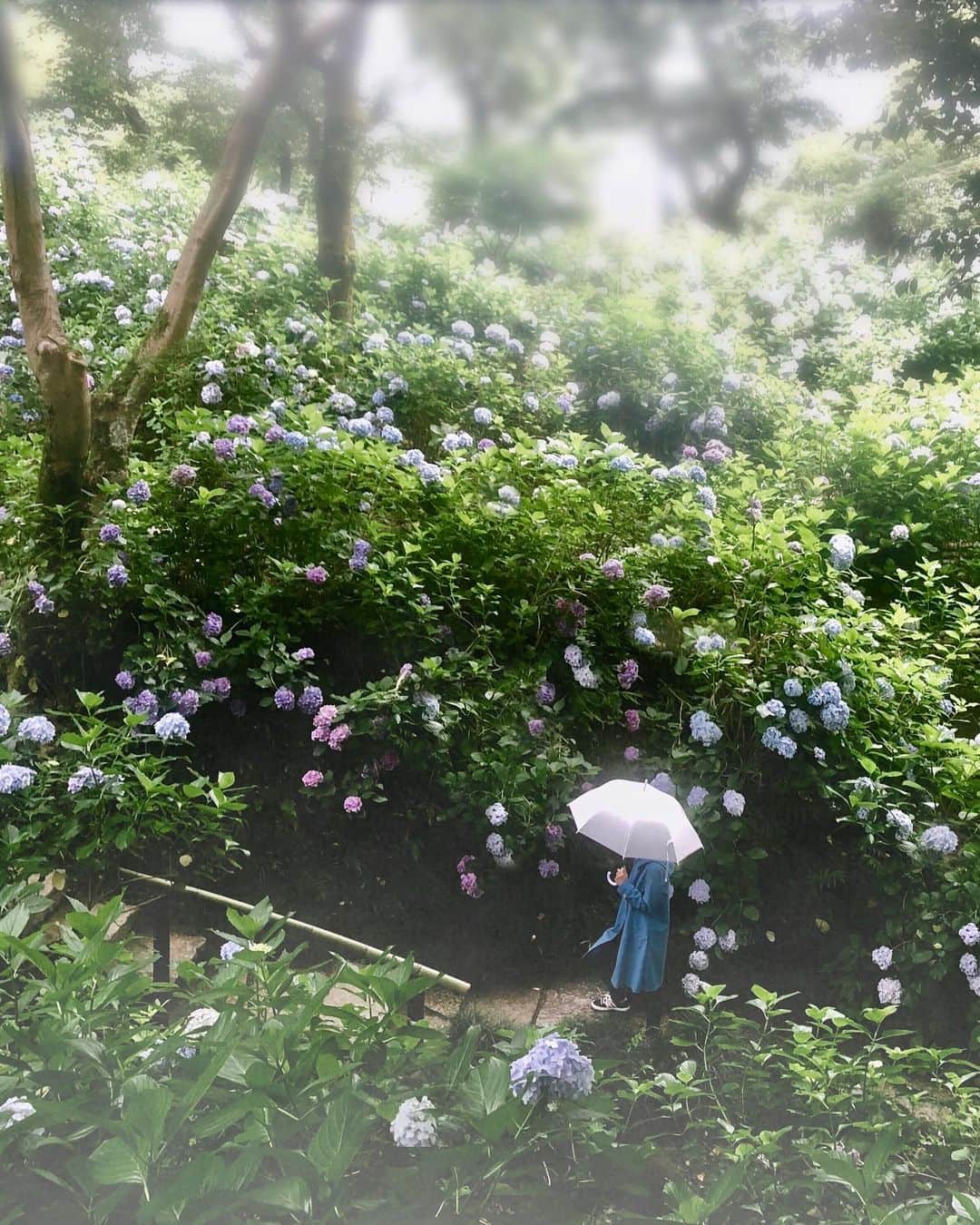 Koichiのグルメインスタ