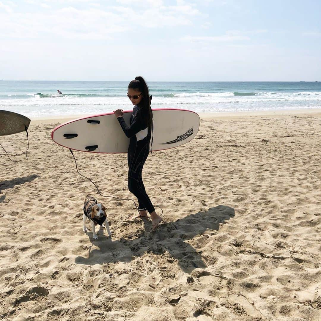 遊海 Yuumiさんのインスタグラム写真 - (遊海 YuumiInstagram)「Sunny day ☀️ First day of surf with @bossthelittlebeagle ❤️ i still cant stand up 🏄‍♀️ but soon like a pro ! 😆 photo taken by mom ❤️ finding happiness in life is wonderful ! いい天気。ボスと初サーフィン❤️ まだ立てないけど、もうすぐプロみたいに波に乗れるように頑張ろー。 ボスちゃんも初波乗り〜 人生楽しいこと作らなきゃね❤️#surfing #fingershape #surf #love #ocean #peace #peacemaker #hobby #joy #surfergirl #beagle」6月24日 21時44分 - yuumi_kato