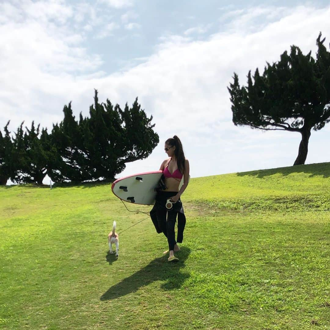 遊海 Yuumiさんのインスタグラム写真 - (遊海 YuumiInstagram)「Sunny day ☀️ First day of surf with @bossthelittlebeagle ❤️ i still cant stand up 🏄‍♀️ but soon like a pro ! 😆 photo taken by mom ❤️ finding happiness in life is wonderful ! いい天気。ボスと初サーフィン❤️ まだ立てないけど、もうすぐプロみたいに波に乗れるように頑張ろー。 ボスちゃんも初波乗り〜 人生楽しいこと作らなきゃね❤️#surfing #fingershape #surf #love #ocean #peace #peacemaker #hobby #joy #surfergirl #beagle」6月24日 21時44分 - yuumi_kato