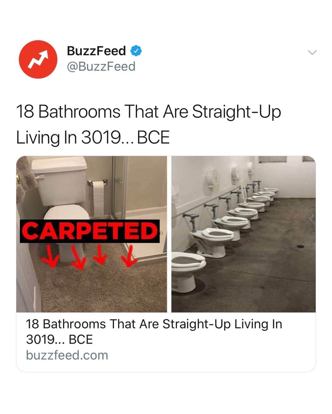 BuzzFeedさんのインスタグラム写真 - (BuzzFeedInstagram)「Two words: CURSED BATHROOMS 🚽 Link in bio 😬」6月24日 12時59分 - buzzfeed