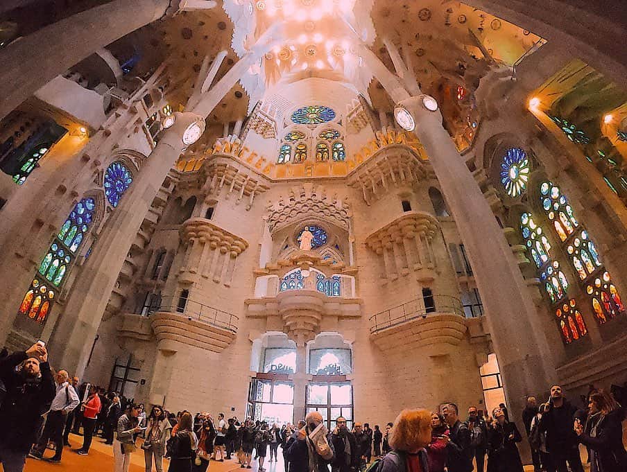 相知明日香さんのインスタグラム写真 - (相知明日香Instagram)「🇪🇸 | Barcelona | SPAIN . Beautiful Sagrada Familia...🥺✨ . サグラダファミリアの中🥺✨ 日本語の解説を聞きながら隅々まで歩きました🙏🏻 そして祈り部屋のような空間にも入って たくさんお祈りを捧げてきました。 ヨーロッパの寄港地では大聖堂に入れる事が多く 各国の教会でいつになくお祈りをする機会が多くて クリスチャンの自分にはそれも貴重な経験でした！✨ どうしても自分の事より周りの事ばかり祈りがちだけどね😂 周りの健康と笑顔。それに尽きます。🧝🏻‍♀️🌱🌼 . #あすかの旅スタinSPAIN #あすかの旅スタinSunPrincess #JTBSUNPRINCESSWORLDCRUISE2019 #SunPrincess #WorldCruise #Cruise #JTB #Barcelona#SPAIN#Travel#Traveler#Violinist#Artist#love#happy#SagradaFamilia#beautiful#相知明日香#旅するヴァイオリニスト#旅#旅行#ヴァイオリン#音楽#サンプリンセス#クルーズ#スペイン#バルセロナ#🇪🇸#サグラダファミリア」6月24日 13時47分 - asukalohappy
