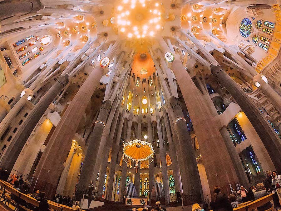 相知明日香さんのインスタグラム写真 - (相知明日香Instagram)「🇪🇸 | Barcelona | SPAIN . Beautiful Sagrada Familia...🥺✨ . サグラダファミリアの中🥺✨ 日本語の解説を聞きながら隅々まで歩きました🙏🏻 そして祈り部屋のような空間にも入って たくさんお祈りを捧げてきました。 ヨーロッパの寄港地では大聖堂に入れる事が多く 各国の教会でいつになくお祈りをする機会が多くて クリスチャンの自分にはそれも貴重な経験でした！✨ どうしても自分の事より周りの事ばかり祈りがちだけどね😂 周りの健康と笑顔。それに尽きます。🧝🏻‍♀️🌱🌼 . #あすかの旅スタinSPAIN #あすかの旅スタinSunPrincess #JTBSUNPRINCESSWORLDCRUISE2019 #SunPrincess #WorldCruise #Cruise #JTB #Barcelona#SPAIN#Travel#Traveler#Violinist#Artist#love#happy#SagradaFamilia#beautiful#相知明日香#旅するヴァイオリニスト#旅#旅行#ヴァイオリン#音楽#サンプリンセス#クルーズ#スペイン#バルセロナ#🇪🇸#サグラダファミリア」6月24日 13時47分 - asukalohappy