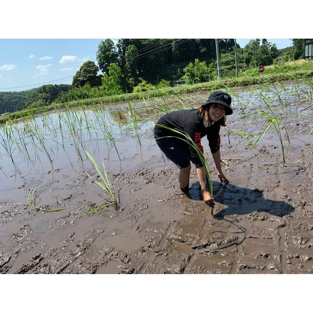 稲村亜美さんのインスタグラム写真 - (稲村亜美Instagram)「先日友人に誘ってもらいマコモを植えに行ってきました🤣❤️❤️❤️ 当初は田植えで稲を植える予定でしたが変更してマコモに🤗  小学生ぶりの田植え？は泥まみれになりながらも楽しかったーー！！！ それと知り合いの方が育ててる玉ねぎも抜きましたよ！！！ この玉ねぎで作ってもらったサラダは最高に美味しかったです😍 皆さんいい方々でステキな休日になり大満足な１日に 農業に昔から憧れがあったことを思い出したな〜 ベランダでプチトマトでもまた育てよっかな？？！ また機会があればしたいと思います🥺 #マコモ #田植え」6月24日 13時56分 - inamura_ami