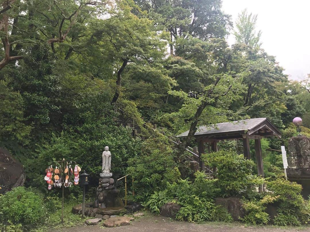 キャンヒロユキさんのインスタグラム写真 - (キャンヒロユキInstagram)「達磨発祥の地、少林山達磨寺へ。  ポケモンマスターへの注意書きが面白い！  なぜか般若心経セットを買いました。」6月24日 14時00分 - kiyancan