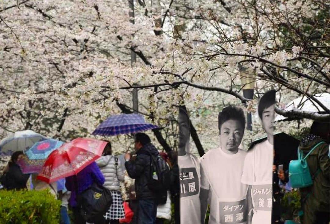 川原克己 さんのインスタグラム写真 - (川原克己 Instagram)「桜のおちょぼ口の理由は ３人が白黒過ぎるからでも 俺と後藤さんが半分過ぎるからでもない 雨が降り過ぎてるからなのだ #花見 #おちょぼ桜 #白黒半分花見 #チームユースケ」6月24日 14時10分 - tenjikunezumikawahara