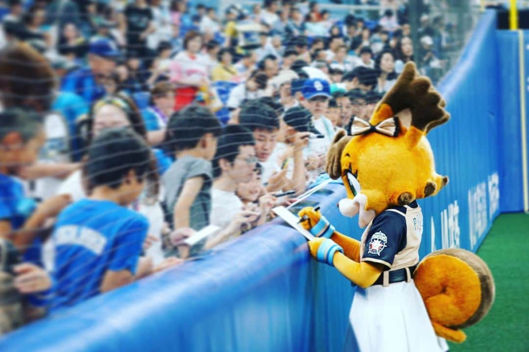 北海道日本ハムファイターズ フレップさんのインスタグラム写真 - (北海道日本ハムファイターズ フレップInstagram)「. 土曜、日曜の二日間ナゴヤドームにお邪魔してきました❤️ ドアラは... 相変わらずでしたー😆😆😆 ドアラファン(扇風機)をずっと見せびらかされました笑🐨🐨🐨 そしてシャオロンとパオロンにかなり久しぶりに会えた💕💕 パオちゃんは2013年に札幌ドームに交流に来た時のこと覚えていてくれて、たんぽぽの丘のことや、似顔絵対決したこととか、懐かしいねー😆ってふたりで思い出話に花を咲かせました🌸 シャオロンは変わらず優しくて✨ Dステージで披露していたダンスがとてもカッコよくてポリーのお気に入り💗 チアドラゴンズのお姉さんたちもみんな素敵で、ダイナミックなパフォーマンスは本当に圧巻でした！！👏🏻👏🏻👏🏻 ドラゴンズファンの皆さんも親切で、たくさん声をかけてくれてありがとうございました🎀💕🎀💕 ・ 今年は普段なかなか行けない場所に行かせてもらって本当に楽しかった〜！！ みんなにポリーのこと少しは知ってもらえたかなぁ...？？😊 ・ どのチームの女子マスコットも、男の子たちに負けず本当に魅力的で、自分の個性を活かして 🎀女の子だからこそできるパフォーマンス🎀 を日々一生懸命頑張っていることをみんなに知ってもらう、興味を持ってもらうきっかけに少しでもなっていれば良いなと思います🥰✨ ・ さぁ、みんなが待ってる大好きな北海道に帰ろ〜っと❣️❣️❣️ (代筆ぽりぃ🎀) 🐿 ⭐️ 🐿 ⭐️ 🐿 #lovefighters  #驀進 #飛び出せ新時代 #ポリーポラリス #ドアラ #シャオロン #パオロン #チアドラゴンズ #ドアラの尻尾キーホルダー付けてたのわかった ？😆 #ポリーの尻尾のもあったら #みんな付けてくれるかな ？ #スピードガンコンテスト49kmだった #凹んでたら緒方コーチが褒めてくれたよ #名古屋のおすすめグルメ教えてくれてありがとう #味噌カツとあんかけスパたべたよ #おいしかったよ #たくさん食べてたくさん寝て #全然元気だから心配しないでね 🥰 #フレップBBお土産待っててね #これで代筆もしばらくおしまいかな #お手紙やメッセージもありがとね #いつも大切に読んでます ☺︎」6月24日 14時30分 - frep_the_fox