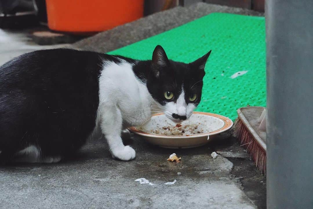 言身寸 in Tainan, Taiwanのインスタグラム