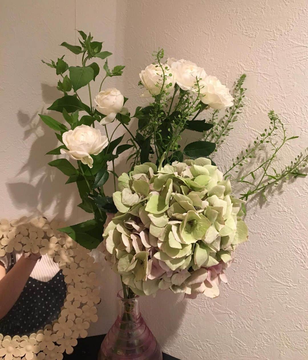 範田紗々さんのインスタグラム写真 - (範田紗々Instagram)「ノンちゃんにって お花をありがとうございます(*´-`)」6月24日 15時28分 - handa_sasa