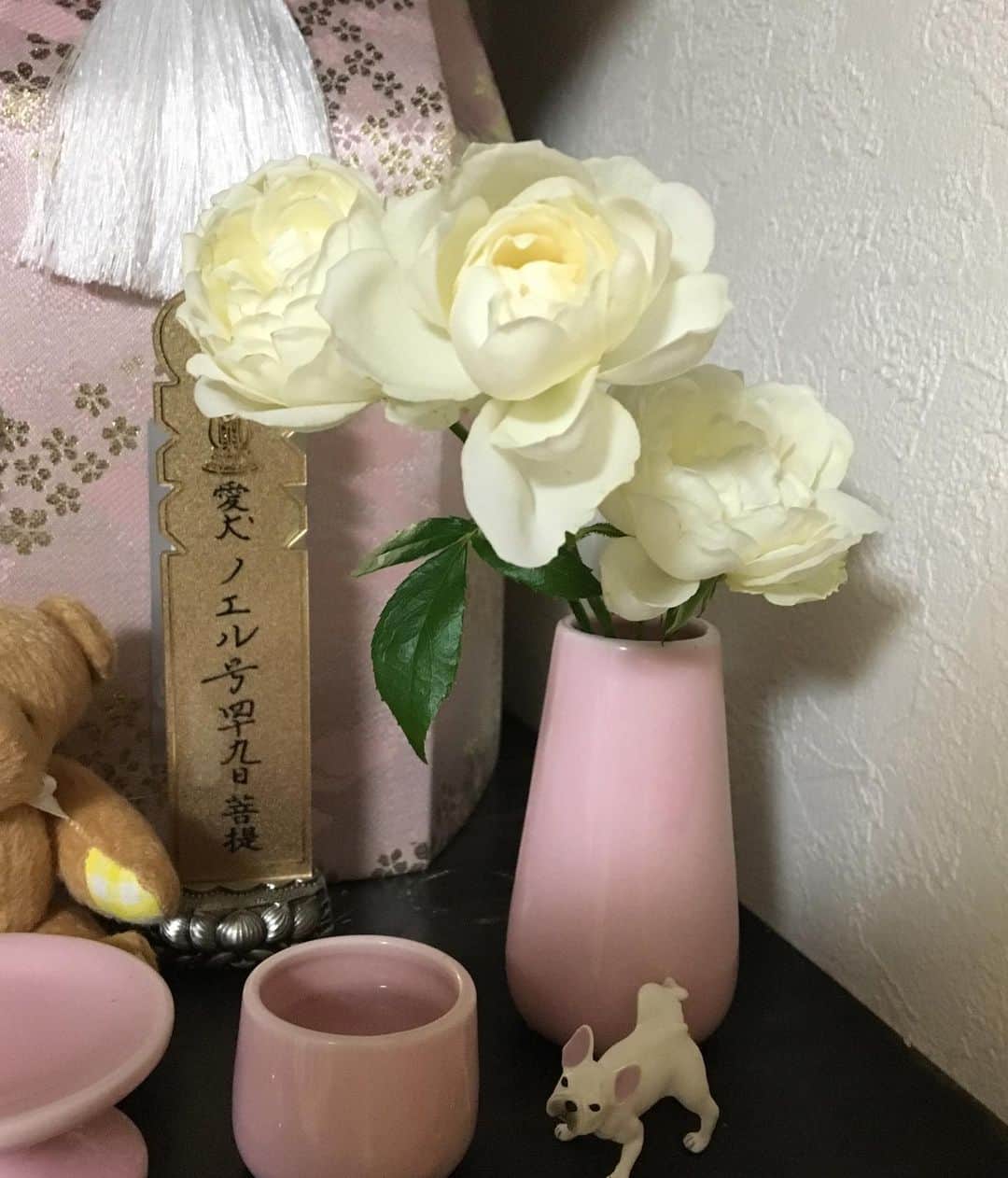 範田紗々さんのインスタグラム写真 - (範田紗々Instagram)「ノンちゃんにって お花をありがとうございます(*´-`)」6月24日 15時28分 - handa_sasa