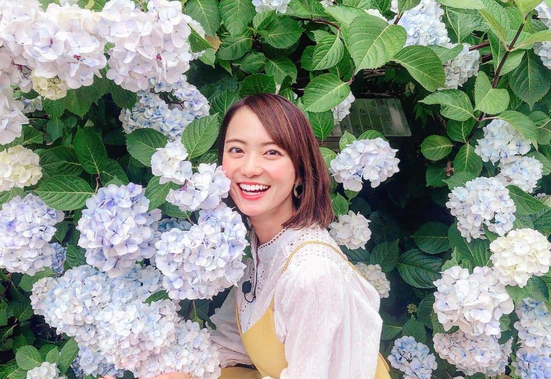 鉢嶺杏奈さんのインスタグラム写真 - (鉢嶺杏奈Instagram)「日本の四季折々の花って いいよねぇー❤️ 今は、紫陽花だね！ ぼんぼりみたいに大きく丸く広がった小さな花たちが 可愛くて仕方ない！ 本当の花は、花の中にあるんだからこりゃまた驚き！w  雨に濡れたつやつやした紫陽花も美しくて素晴らしい(´∀｀*) そんな紫陽花とショットを載せまーす！  少し肌寒いけど、今日も後半戦頑張りましょー❤️ #紫陽花#長谷寺#鉢嶺杏奈」6月24日 15時55分 - hachimine_anna