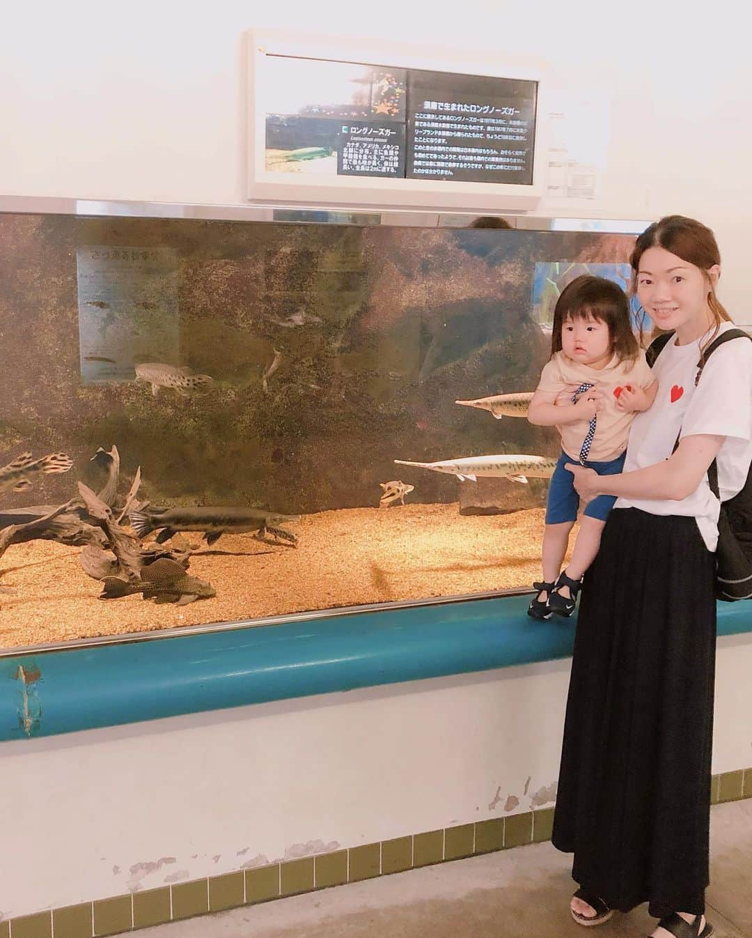 井上香織さんのインスタグラム写真 - (井上香織Instagram)「2019.6.24 須磨海浜水族園ー🐟🐡🐍☀️🍦 ・ 4枚目のワニ🐊何か不気味。 あんなに近くで見たの初めてで怖かったなぁ。 ・ 6枚目のスッポン🐢 いつもサプリメントで飲んでます♡🙏 ・ 7枚目昆布みたいな魚だったなぁ。 ・ 8枚目は2匹のカエル、どこにいるか分かった人は凄いです！！ ・ 9枚目亀ってこんなに首伸びるの！？ ・ 10枚目娘とリンクコーデ♡👚 ・ #須磨海浜水族園 #イルカショー時間ピッタリ #珍しい生き物たくさんいました #楽しい時間 #家族時間 #のんびり #ワニが衝撃的だった」6月24日 15時51分 - kaorin888