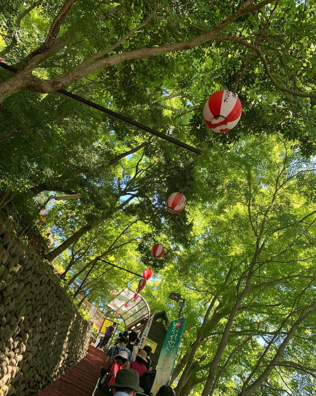 中村葵のグルメインスタ