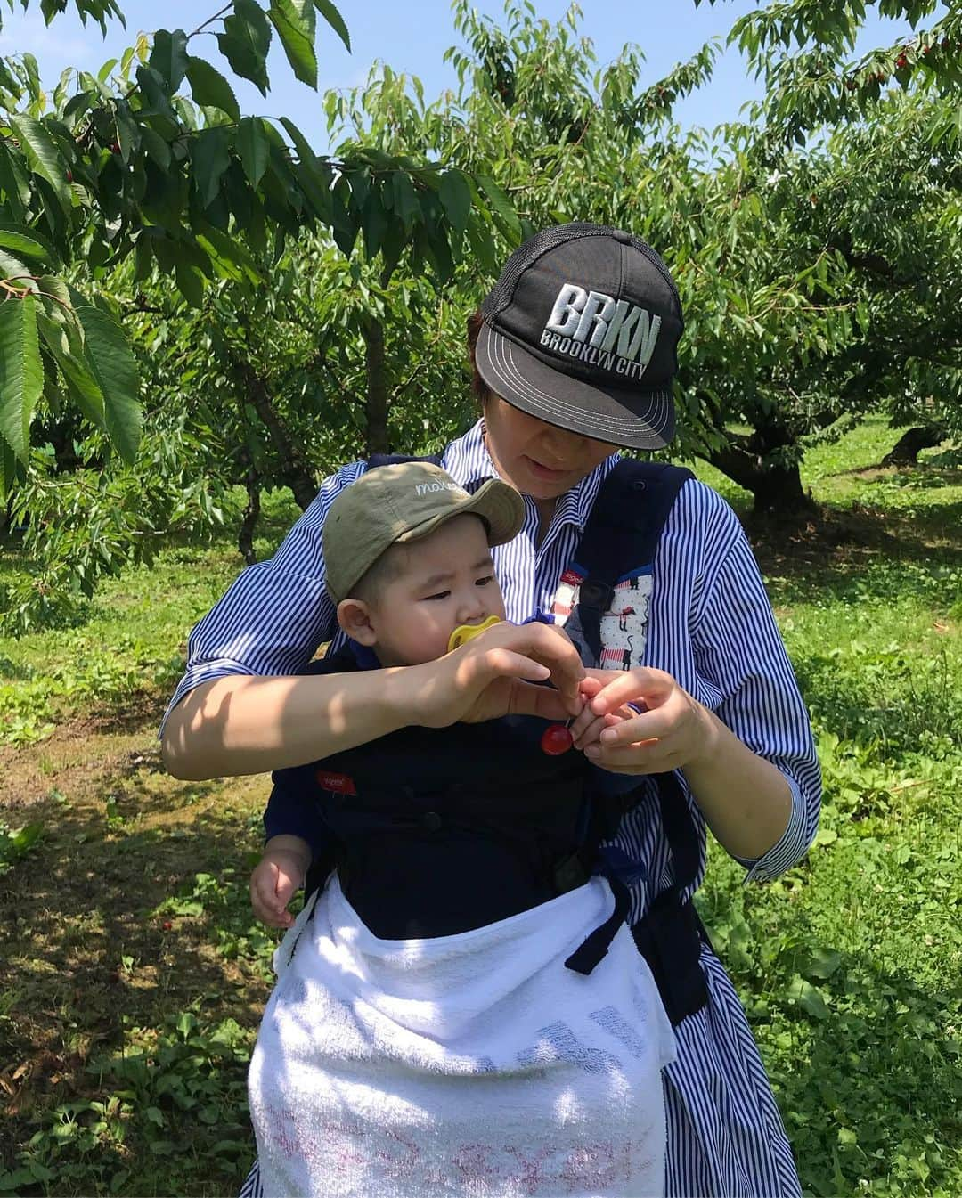 高橋みゆきさんのインスタグラム写真 - (高橋みゆきInstagram)「ちょっと山形へ💨さくらんぼ狩りしちゃった🍒 3匹でお散歩🐶🎶 #山形 #さくらんぼ🍒 #佐藤錦 #賑やか #心ノ祐の坊主が可愛すぎる #家に帰ってきたらさくらんぼ届いてた🍒」6月24日 16時34分 - shin_miyukichi